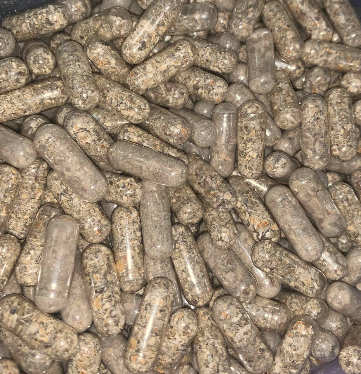 Microdose Capsules Cubensis