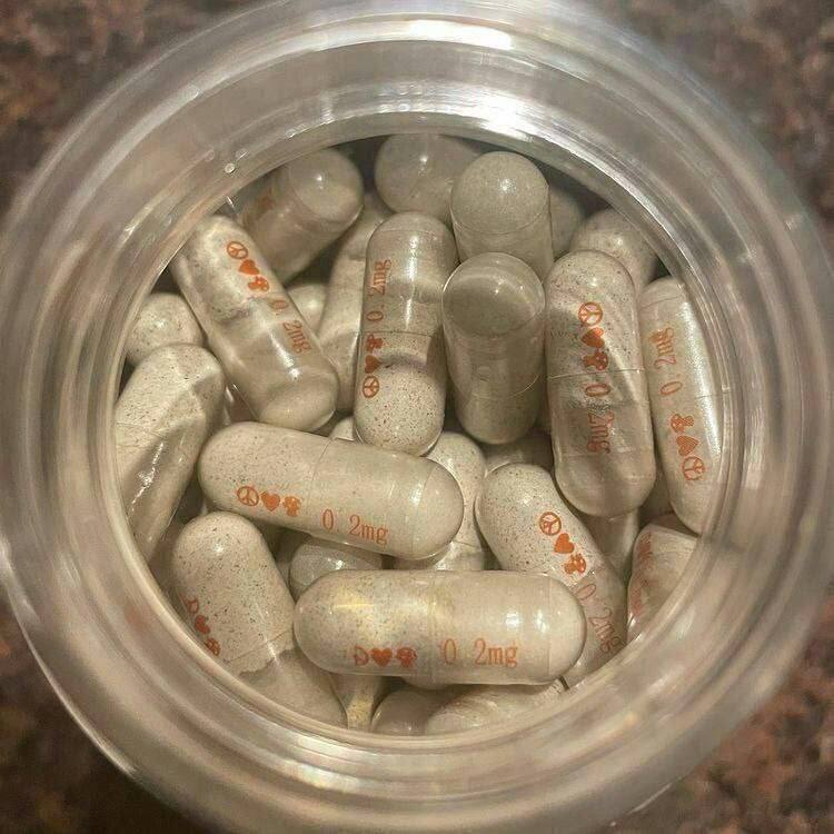 Microdose Caps (penis envy) from Shroom category